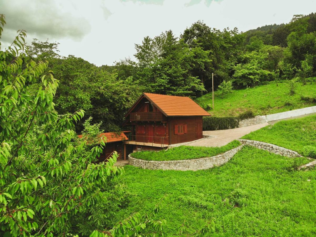 Lazec Country House Villa Pluznje Ngoại thất bức ảnh